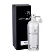 Montale White Musk parfumovaná voda 100ml - cena, srovnání