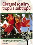Okrasné rostliny tropů a subtropů - cena, srovnání