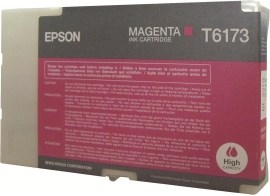 Epson C13T617300