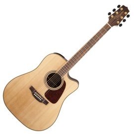 Takamine GD93CE