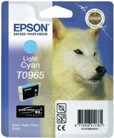 Epson C13T096540