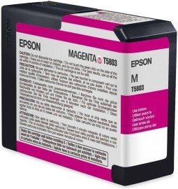 Epson C13T580300