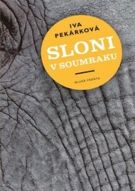 Sloni v soumraku