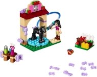 Lego Friends - Umývanie žriebätka 41123 - cena, srovnání