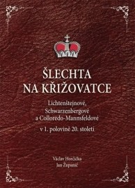 Šlechta na křižovatce - Lichtenštejnové, Schwarzenbergové a Colloredo-Mannsfeldové v 1. polovině 20. století