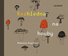 Rozhledna na houby