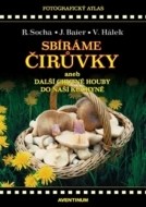 Sbíráme čirůvky - cena, srovnání