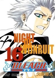 Bleach 16