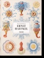 Haeckel - cena, srovnání