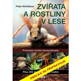 Zvířata a rostliny v lese