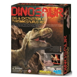 4M Kostra dinosaura – REX