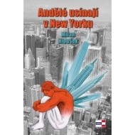 Andělé usínají v New Yorku - cena, srovnání