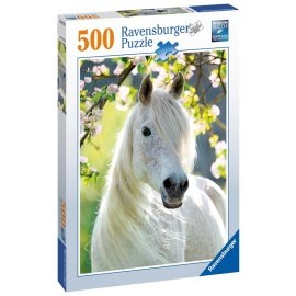 Ravensburger Kobyla 500