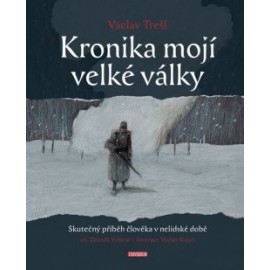 Kronika mojí velké války