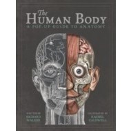 The Human Body - cena, srovnání