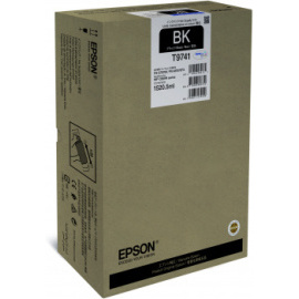 Epson C13T973100