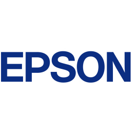 Epson C13T913400