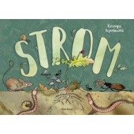 Strom - cena, srovnání