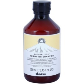 Davines Naturaltech Purifying Shampoo 250ml