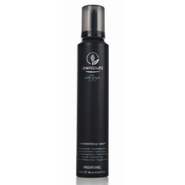 Paul Mitchell Awapuhi Wild Ginger Hydrocream Whip 200ml