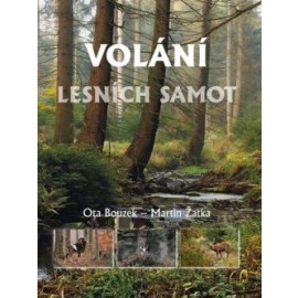 Volání lesních samot