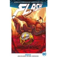 Flash 5 - Negativ - cena, srovnání