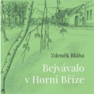 Bejvávalo v Horní Bříze - cena, srovnání