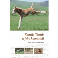 Koník Toník a jeho kamarádi - cena, srovnání