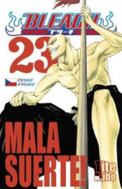 Bleach 23: Mala suerte!