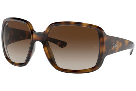 Ray Ban RB4347