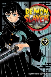 Demon Slayer Kimetsu no Yaiba 12