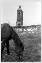 Cesta nikam