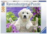 Ravensburger Chutný zlatý retriever 500 - cena, srovnání