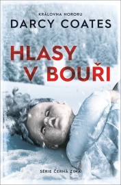 Hlasy v bouři