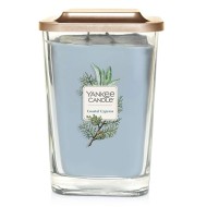 Yankee Candle Coastal Cypress 552g - cena, srovnání