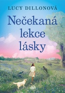 Nečekaná lekce lásky - cena, srovnání