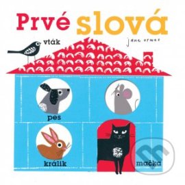 Prvé slová - Ormes Jane