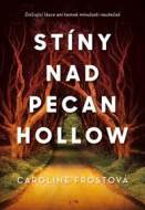 Stíny nad Pecan Hollow - cena, srovnání