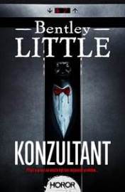 Konzultant - Little Bentley