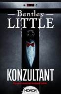 Konzultant - Little Bentley - cena, srovnání