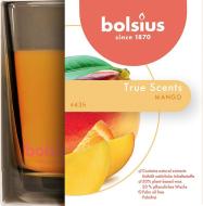 Bolsius Jar True Scents 95/95 mm, mango - cena, srovnání