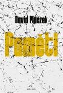 Paměti. David Placzek - cena, srovnání