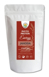 Salvia Paradise Phyto Protein Energy 300g