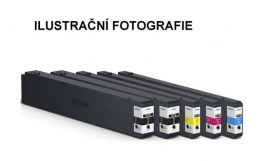 Epson C13T02S300