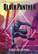 Marvel Action - Black Panther: Búrka na obzore - cena, srovnání