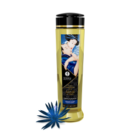 Shunga Erotic Massage Oil Seduction Midnight 240ml