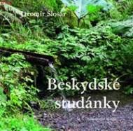 Beskydské studánky - cena, srovnání