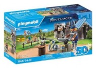 Playmobil 71447 Rytierove narodeniny - cena, srovnání