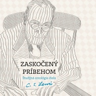 Zaskočený príbehom - cena, srovnání