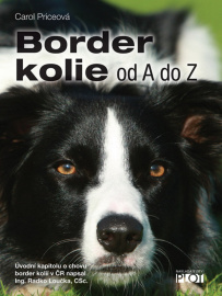 Border kolie od A do Z